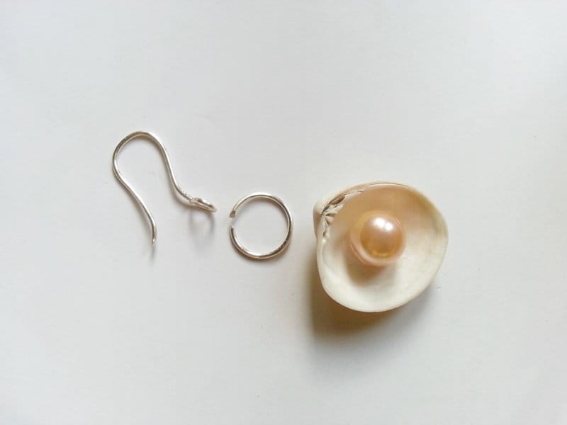 20141106 154809 - Create Sea Shell Earrings