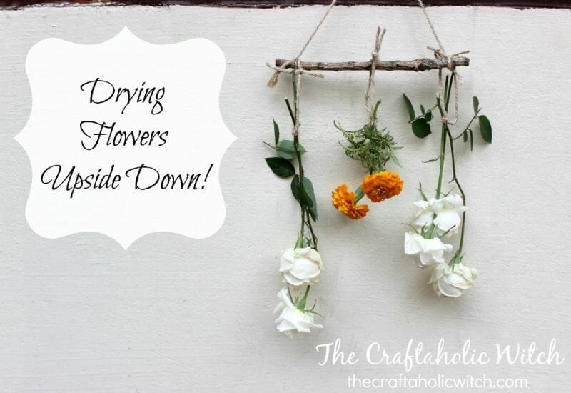 drying flowers upside down