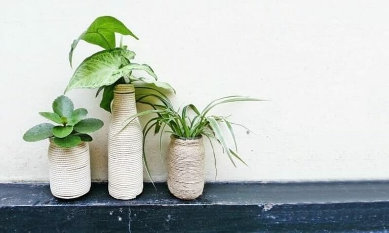 How to Make Recycled Flower pots or Indoor Planters in 10 Munites