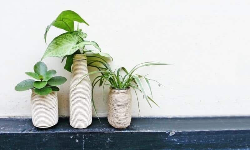 DIY Indoor Planters