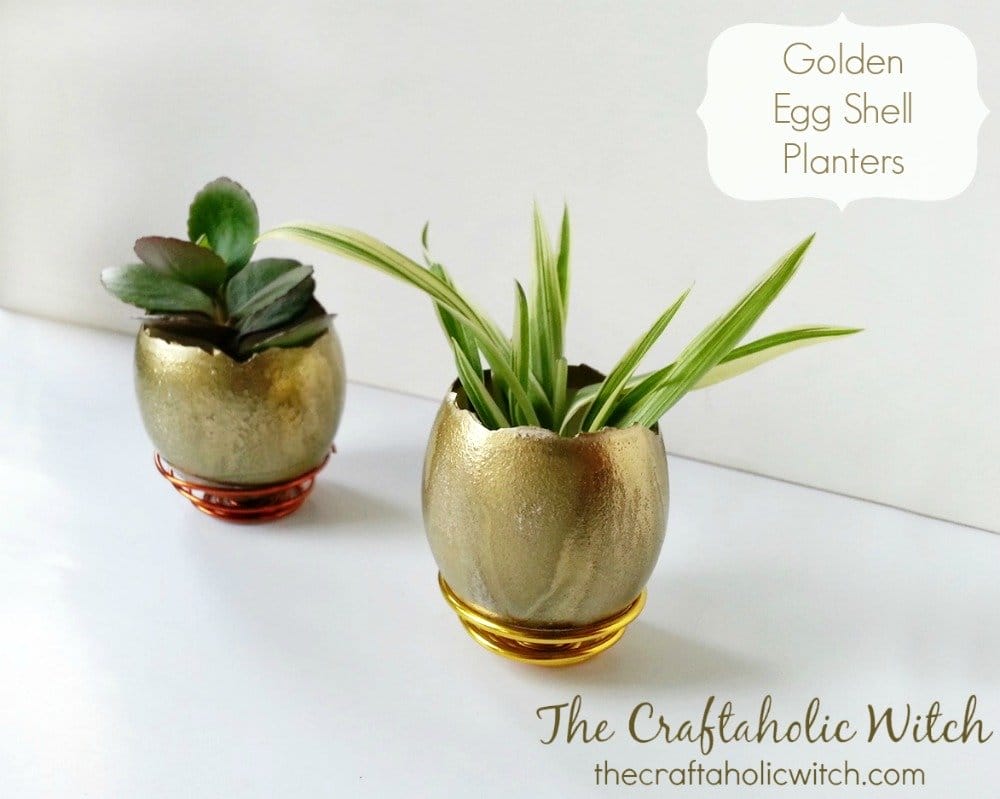 Create Egg Shell Planters | Craftaholic Witch