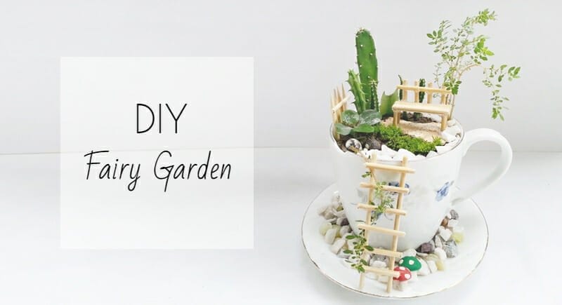 DIY fairy garden - DIY Fairy Garden in a Cup