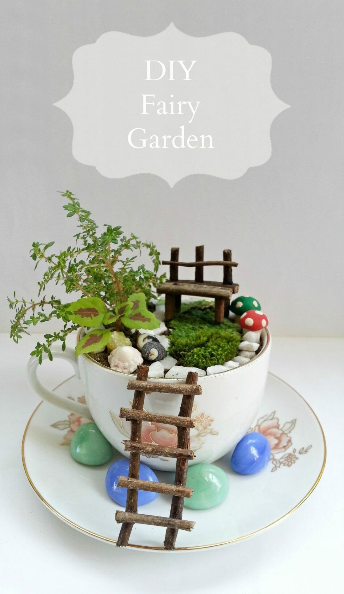fairy cup garden 1 1 - DIY Fairy Garden