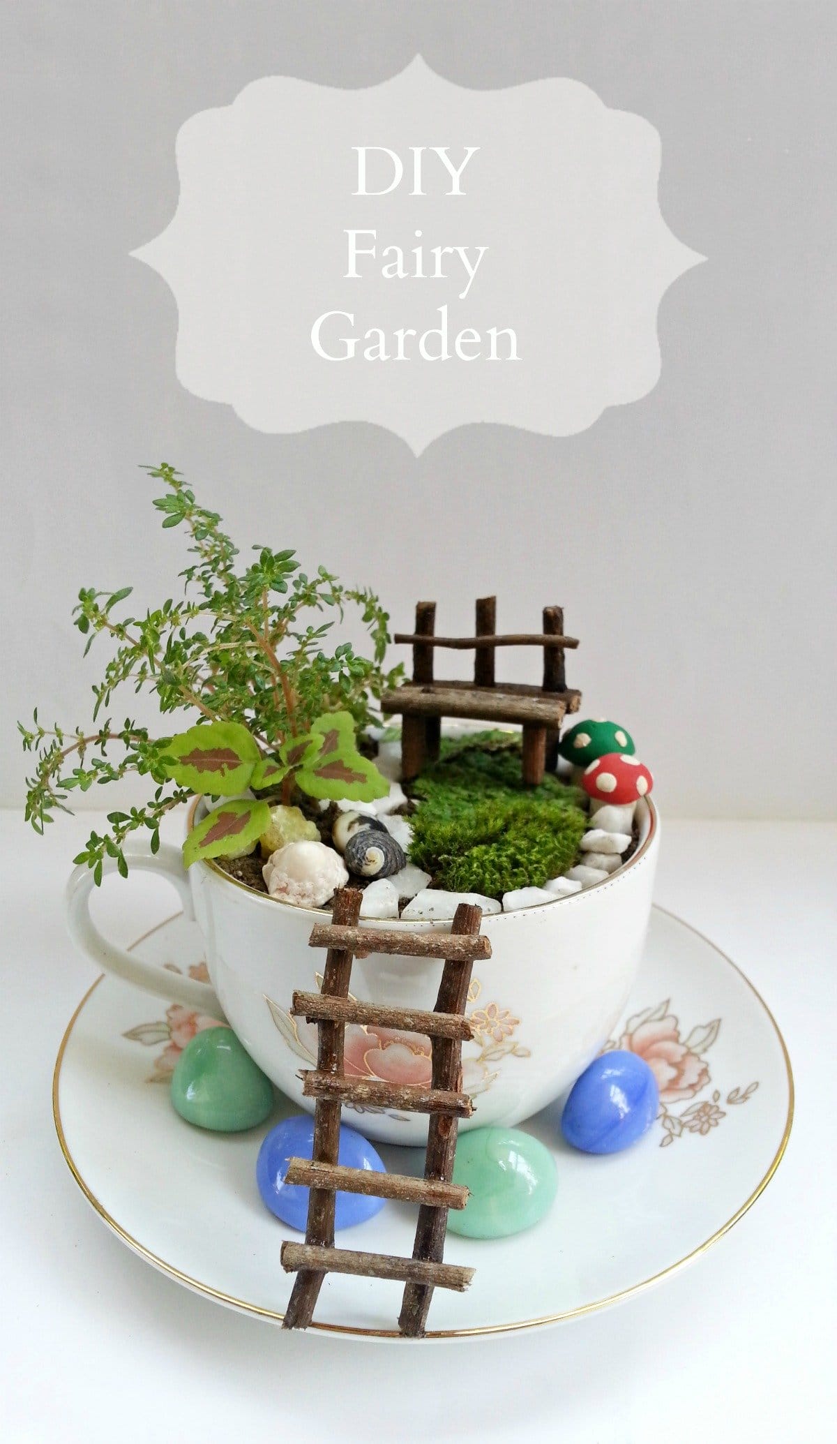 fairy cup garden 1 - DIY Fairy Garden