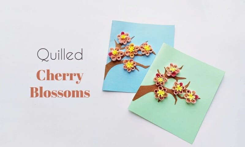 cherry blossoms main - Quilled Cherry Blossoms