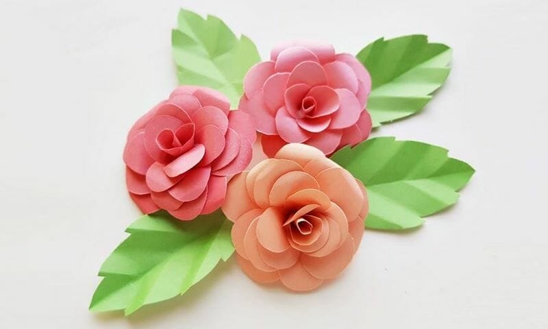 DIY paper roses